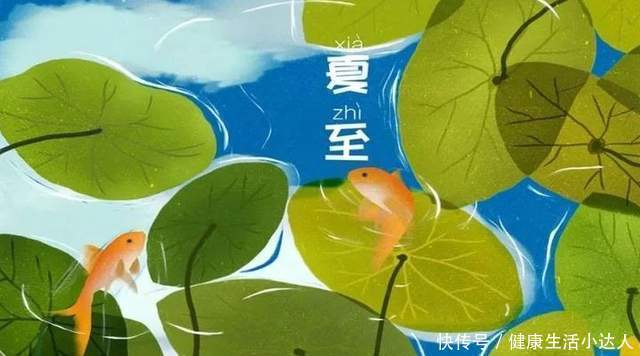 百病|今日夏至,养好“心”,祛好“湿”,身体康泰,百病不来扰