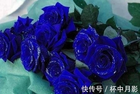 横财|2021年,四大生肖横财如雨降,闷声发大财,贵人喜事上门来