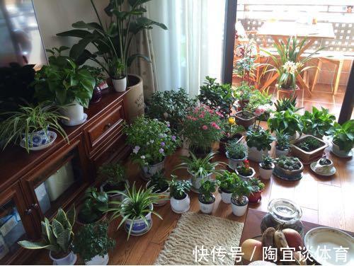 墙壁式|媳妇装新房,卫生间砌“半墙”,阳台成“绿森林”,被邻居赞爆了