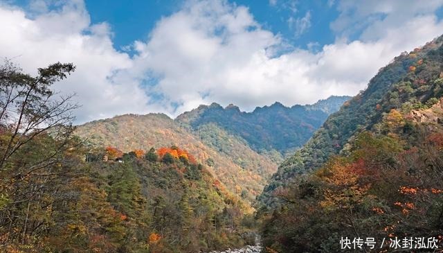 秘境|媲美光雾山！平武这条沟，藏着一个惊艳的彩林秘境！