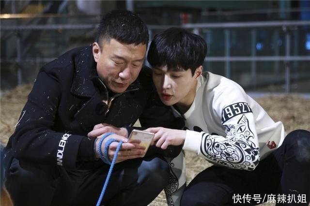 胡军|新《天龙八部》差到难以启齿,一看导演瞬间懂了:常规操作而已