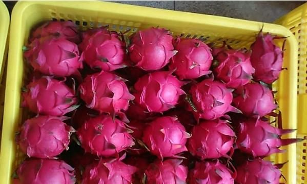 花青素“最多”的4大食物，尤其是第三种，被称为花青素之王！