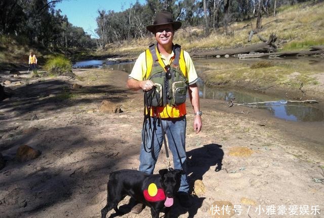 考古学家|狗是天生的“考古学家”?考古犬能嗅出2700年前古墓的位置