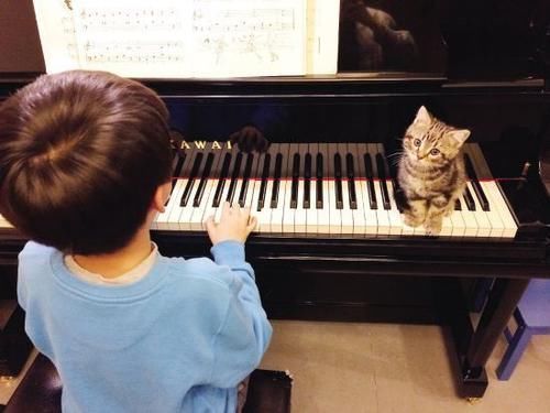 起跑线|俩孩子同岁,一个上兴趣班一个不上兴趣班,10年后差距很大