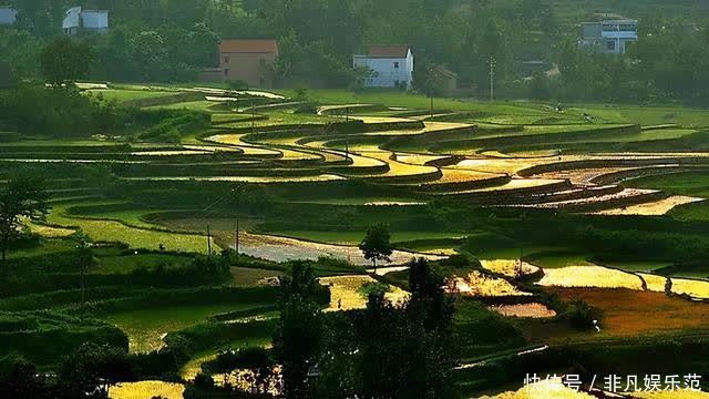 老年|微视河南,河南的那些梯田风光,分分钟把你迷倒
