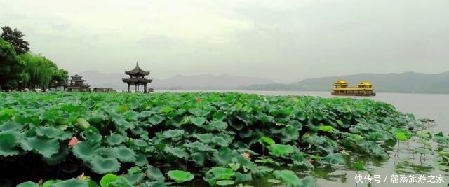 杭州西湖|我国“最有良心”的风景区，坚持17年不收取门票，游客纷纷点赞