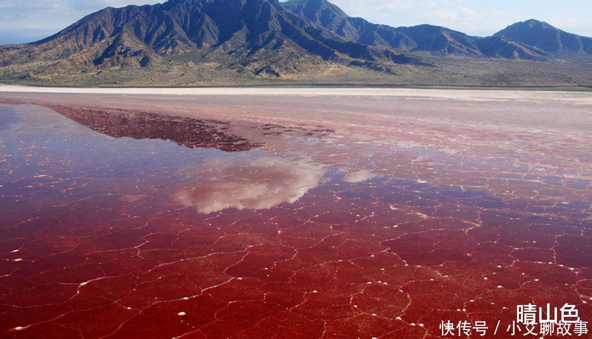 纳特龙湖为什么被称之为“冥河”动物一旦掉入，就会成为化石