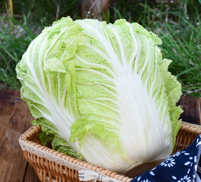 买白菜时,选绿的还是白的好老菜农不小心说漏嘴,别再买错了