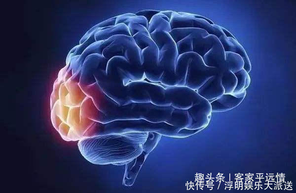 中老年人|老年痴呆测试图上有只青蛙,如果在30秒内找到,说明大脑很年轻