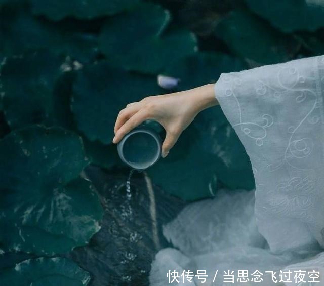 赏析|八首暗恋诗词山有木兮木有枝,心悦君兮君不知