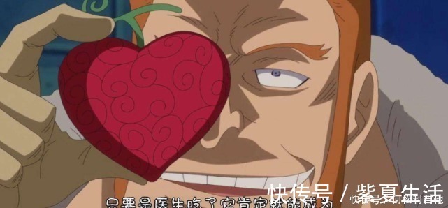 海賊王|海賊王天龍人為何都不是惡魔果實能力者只有這顆才值得他們動口