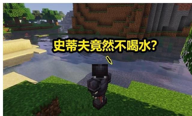 竟然|我的世界：玩到现在，你可能发现一个问题，史蒂夫竟然不喝水？