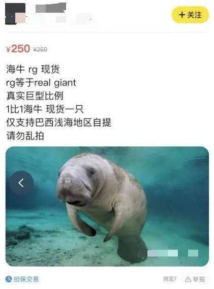 敢达决战|为什么高达模型总是被炒到高价