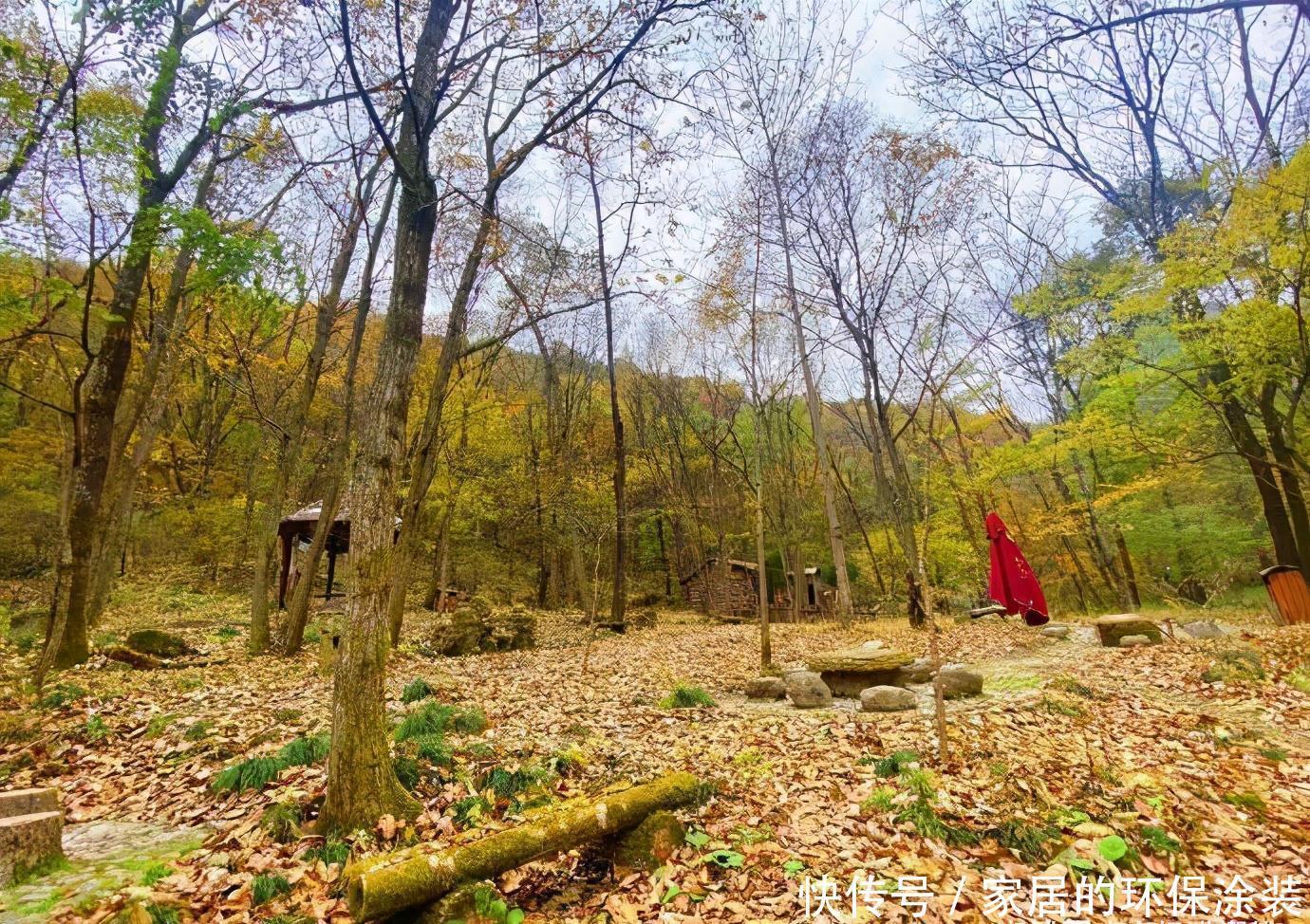 秋天|抓住秋天的尾巴，发现更美的秦岭