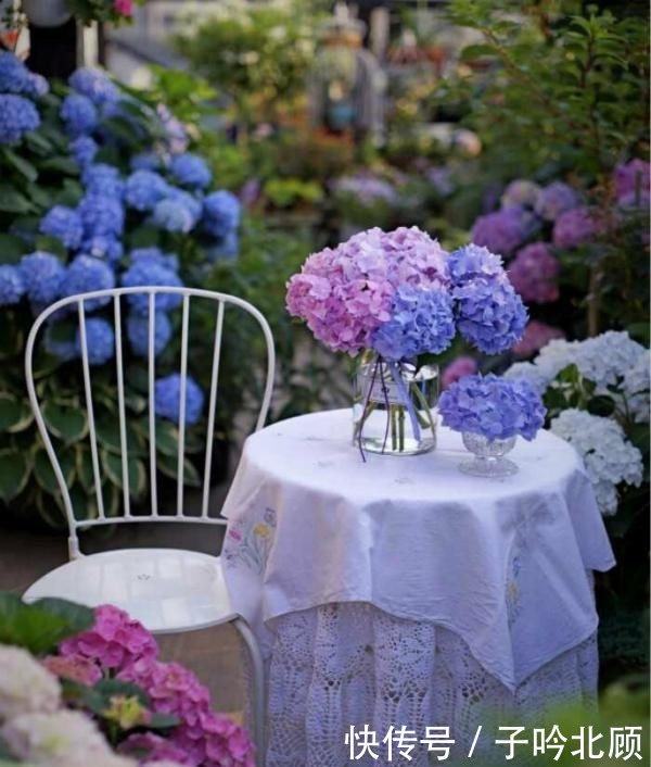 养花有3个“讲究”，执行到位，家里院子和露台“美如仙境”！