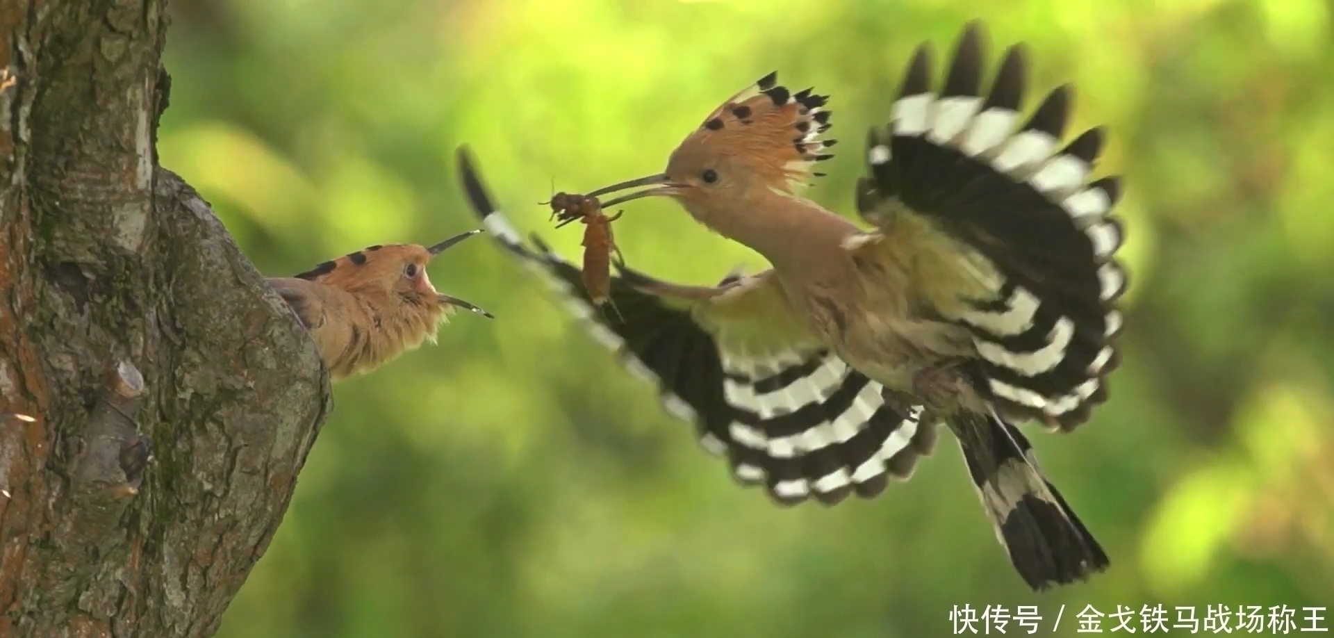 好运|出生在这几时辰的孩子，是最有出息的，让家里越来越富裕
