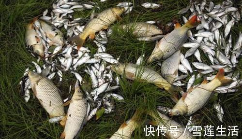 酒米|钓鱼技巧：科学打窝钓得更多，这几种打窝方法更留鱼，你学不学？