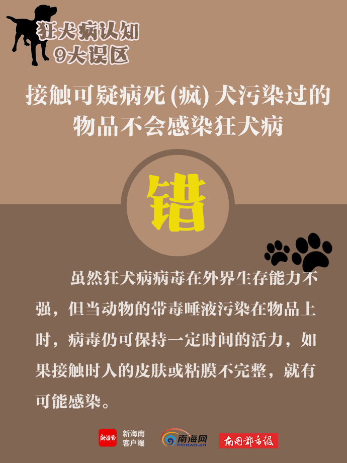 误区|世界狂犬病日，带你了解狂犬病9大认知误区