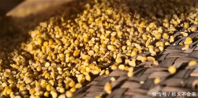 粤菜之所以高级,调味料也很努力哦!