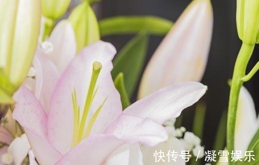 食物|有糖尿病的人,8种食物最好要忌口,常喝1茶,血糖慢慢降下来