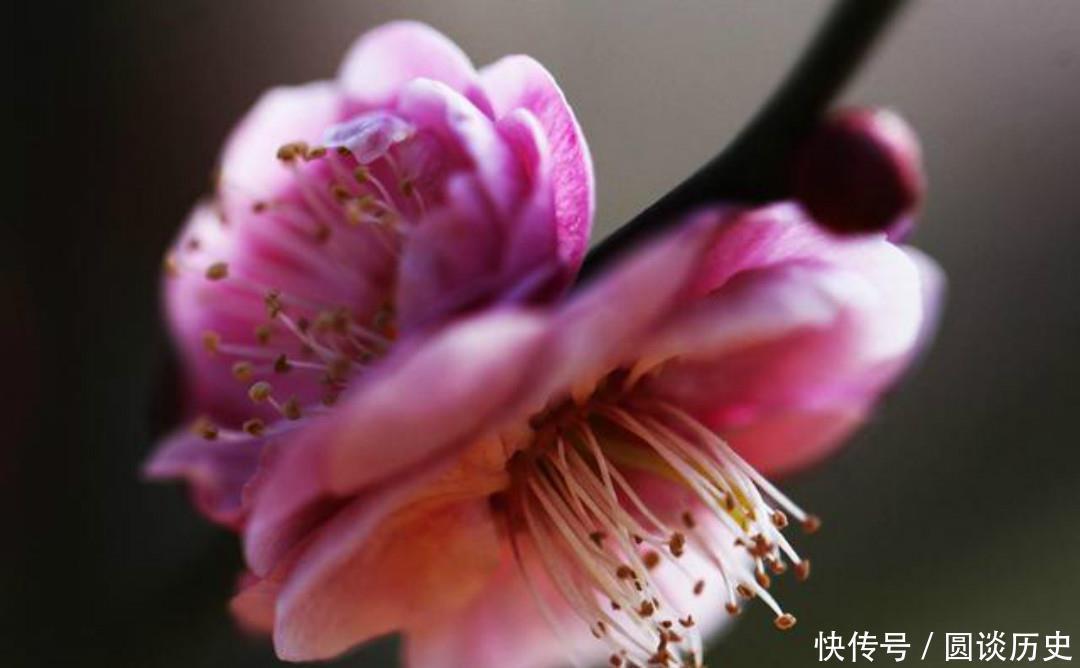 全唐诗&杨万里这首诗美得如诗如画,第一句就是千古名句,从开篇美到结尾