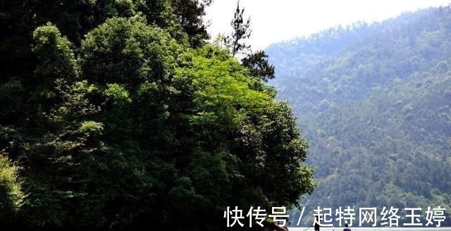 沙溪$苏轼鲜为人知的一首好词,堪称世间最美的千古绝唱!