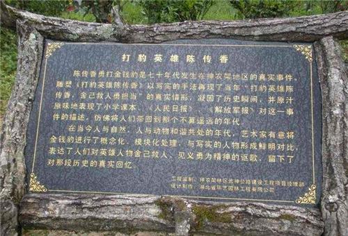 年前|45年前,那位赤手空拳打死2米金钱豹的19岁女孩陈传香,后来怎样