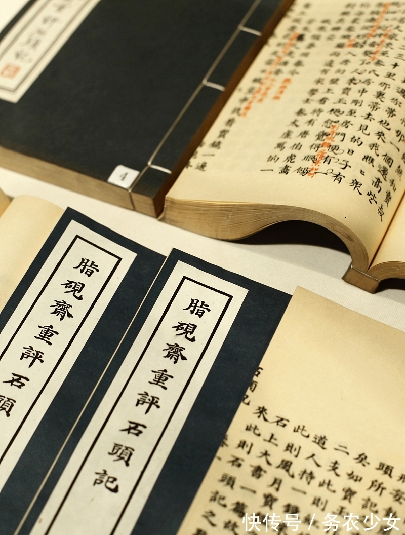 林黛玉&黛玉讽刺过刘姥姥是母蝗虫,宝钗也暗指过贾母没见过世面,为何?