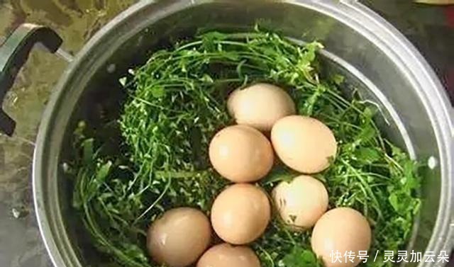 煮鸡蛋,用冷水还是热水很多朋友弄反,难怪鸡蛋不好剥皮还不香