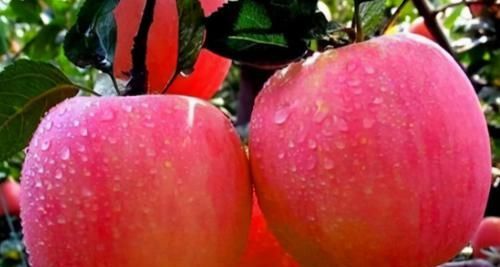 常吃|体重过百想变瘦，常吃3种碱性食物，或许体重往下降