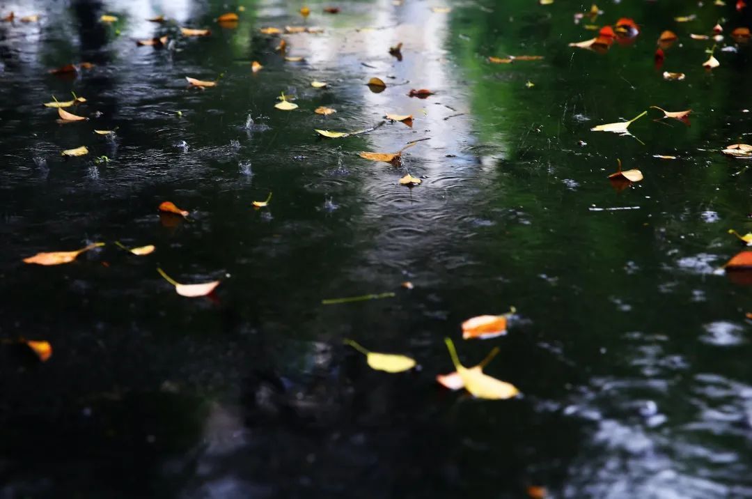 我“雨”最美校园，一起云赏沪上46所高校雨中即景