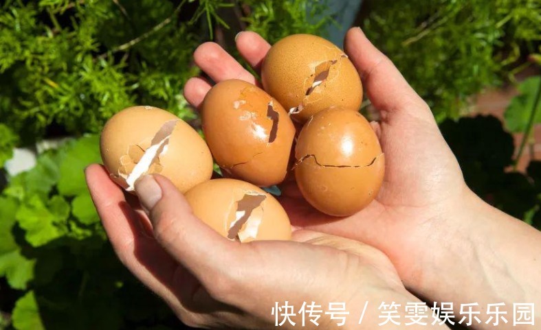 万能自制肥：蛋壳为原材料，制作过程是加热磨碎