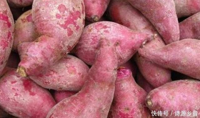 好吃|深秋,此菜要多吃,8毛钱一斤,锅中一蒸,香甜软糯,好吃又顶饱