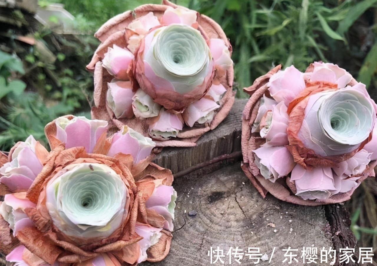 夏天|张大哥养肉10多年,总结出4个“耐热品种”,肉迷都喜欢