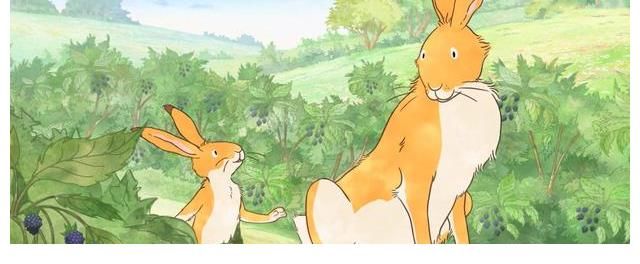 小兔子$一本励志的绘本书籍,读懂真实的爱意满满——推荐销量1800万