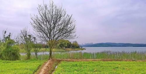 原创图集《东湖野趣》——你相信这里也是武汉的东湖风景区吗？