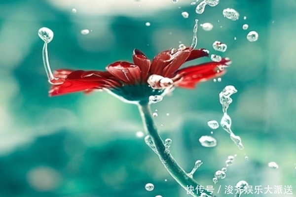 拥有这“4种脚型”的女人,天生富贵之命,衣食无忧,从不缺钱花