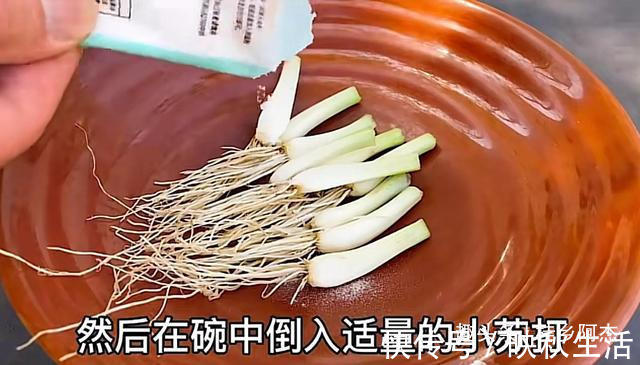 挥发油|扔葱根等于扔钱，葱根原来是个宝，作用这么厉害，太实用了