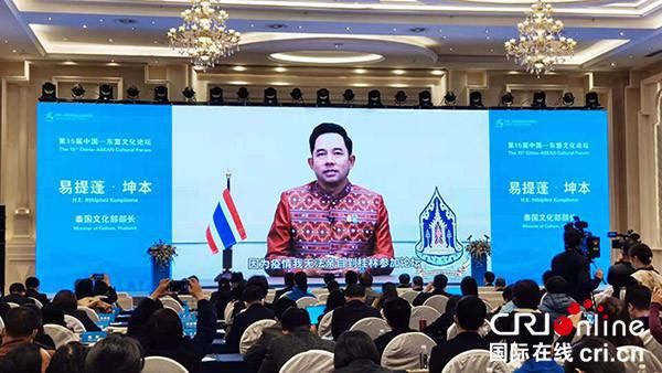  旅游|第15届中国—东盟文化论坛举办 中外嘉宾共商文化遗产保护传承与旅游开发