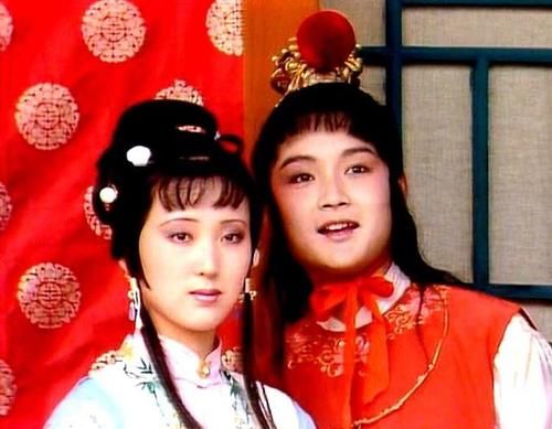  红楼梦里|他扒开了林黛玉和薛宝钗的墓，报了家仇，但你会原谅他么？