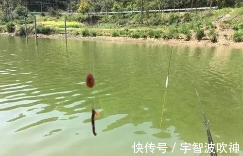 天冷钓鱼打窝“四大口诀”！