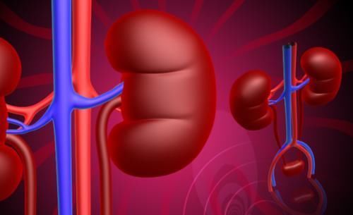 尿液|如何判断高血压伴有肾功能损害?2个检查,3项指标必须知晓