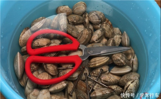 今天才知道,洗花蛤不能只加盐,老渔民用它泡一泡,花蛤狂吐沙!