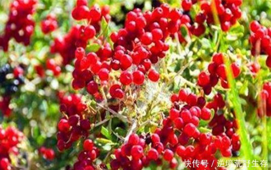 女性不想子宫“脏脏的”,多吃3种食物,排出毒素,滋养女性子宫