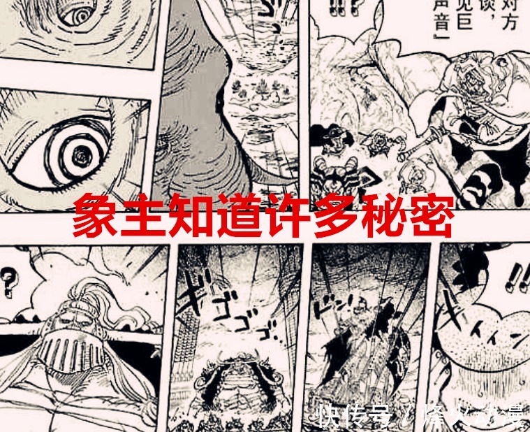 象主|海贼王1040话分析:象主知道创世的真相,乔伊波伊确定是巨人族