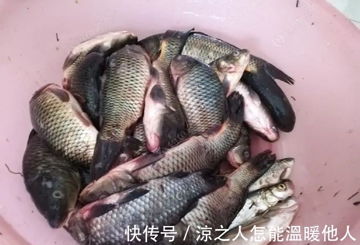 目数|带饵调平水,你得学会这样调才能更准