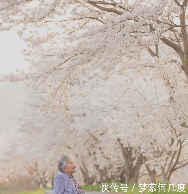 日本老人的“晚年生活”，都有哪些精彩值得学习