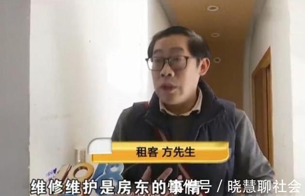 房东|将房屋租给爱狗人士，收房时险些哭出声，房客：维修是房主的事