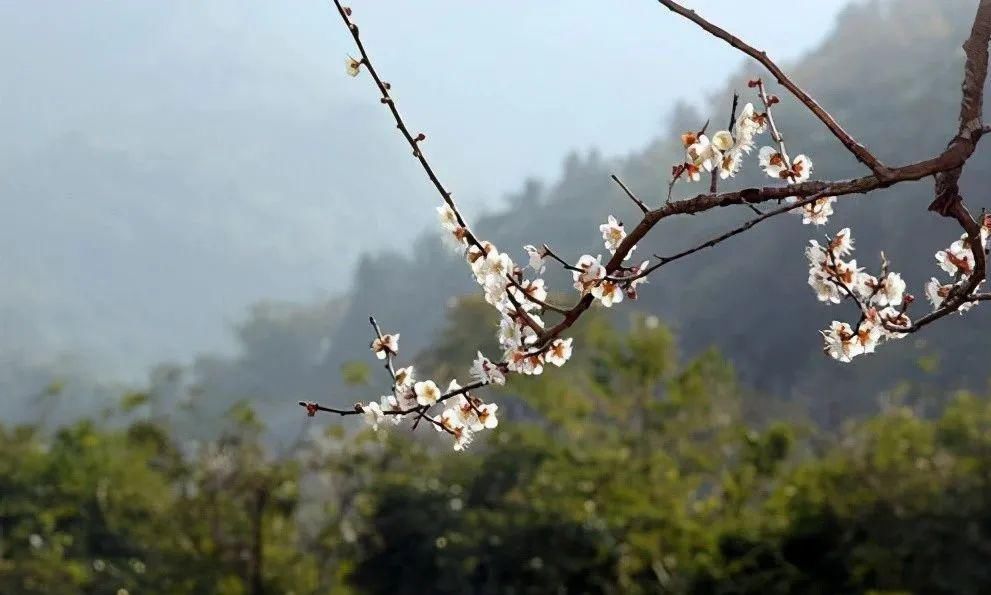 山峰|山态林姿，举手投足间，风情万种，这座山峰诉说着不灭的神话故事