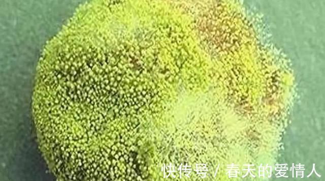 患癌|一家三口同时患癌,医生只因一件“东西”用了十年不扔